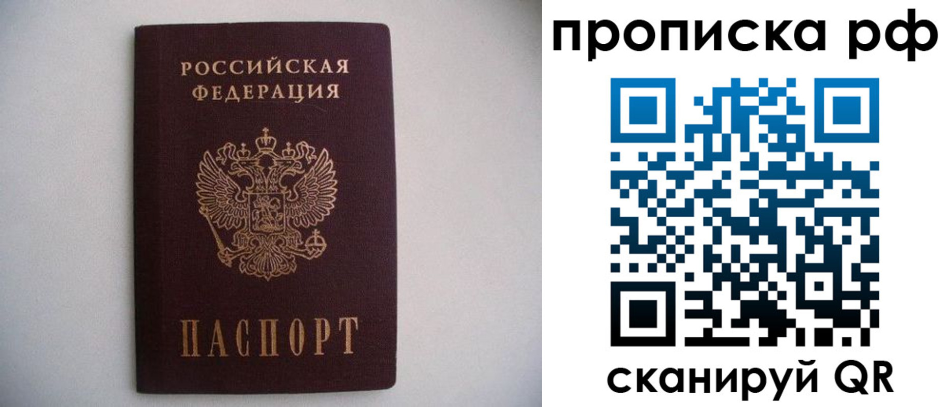 временная регистрация гарантия в Сланцах